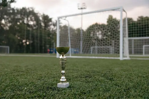Taça dourada em um campo de futebol, em frente ao gol